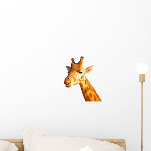 Head Camelopard Wall Decal