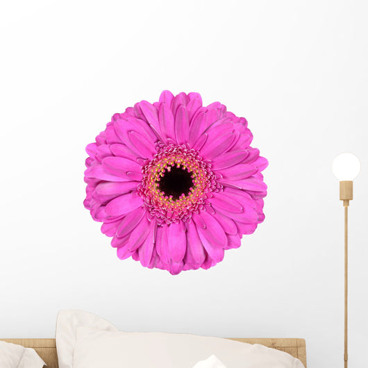 Pink Gerbera Marigold Flower Wall Decal