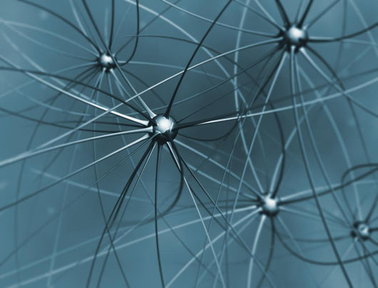 Brain Cells Neurons Wall Mural