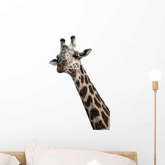 Giraffenporträt Wall Decal