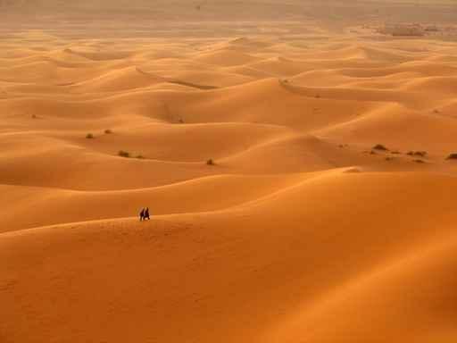 Einsamkeit Der Sahara Wall Decal