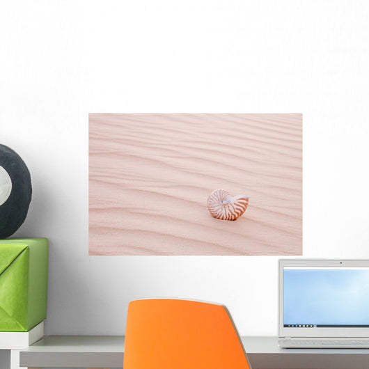 Shell Sand Dune