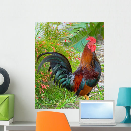 Rooster Wall Decal