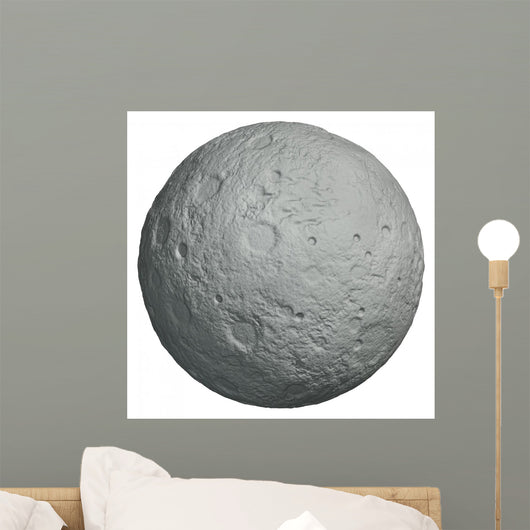 Moon Wall Mural