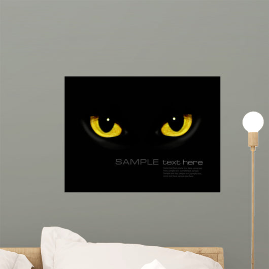 Cat Eyes Dark Night