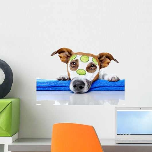 Dog with Beauty Mask