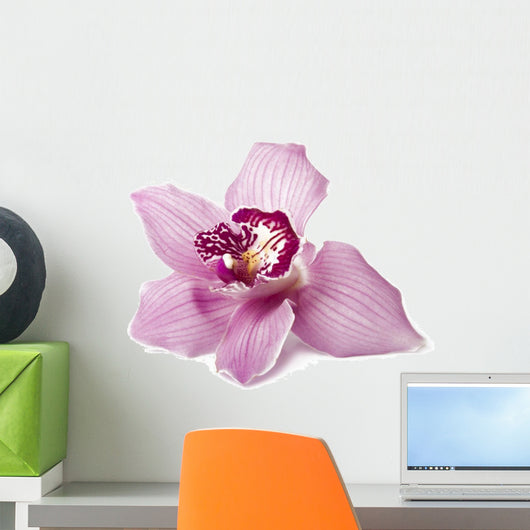 Pink Orchid on a White Background Wall Decal