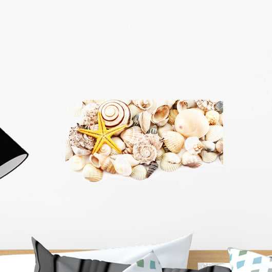 Seashells. Wall Decal