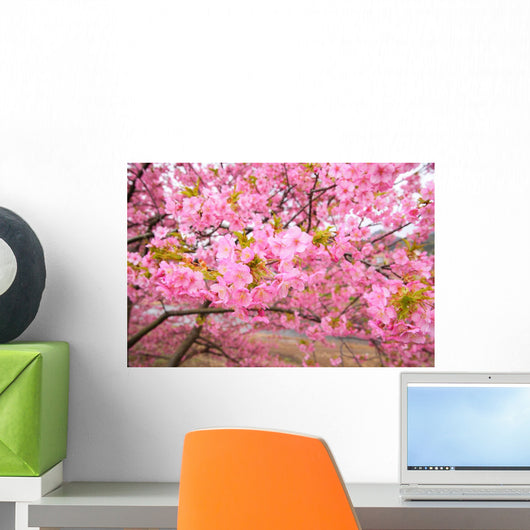 Kawazu Sakura Wall Mural