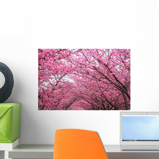 Sakura Arch