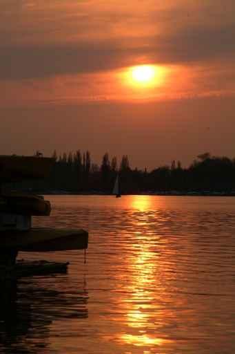 Sunset 14 Wall Decal