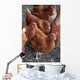 Rhode Island Red