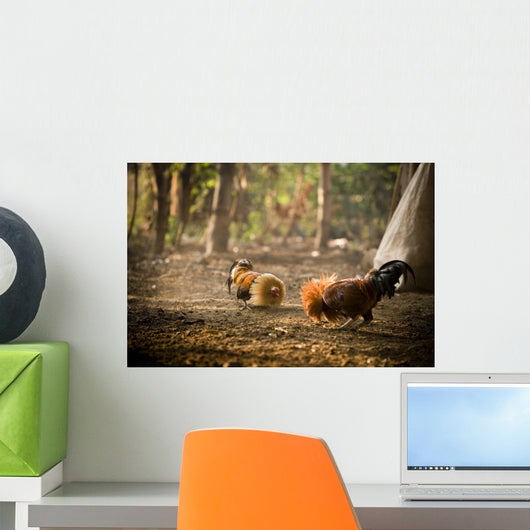 Cock Fight Wall Mural
