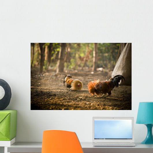 Cock Fight Wall Mural