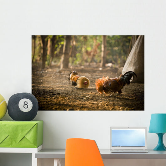 Cock Fight Wall Mural