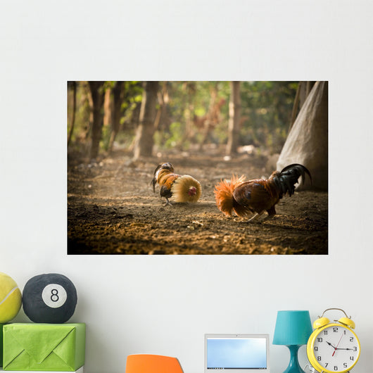 Cock Fight Wall Mural