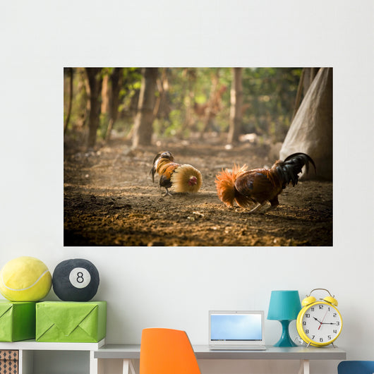 Cock Fight Wall Mural
