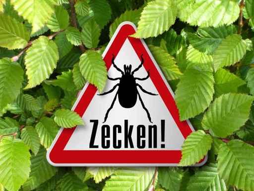 Ticks Wall Decal