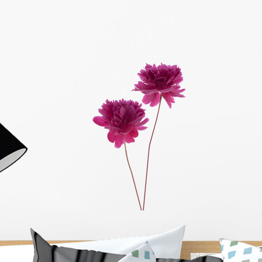 Peony Wall Decal