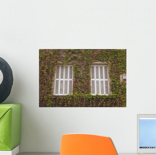 French Shuttered Windows