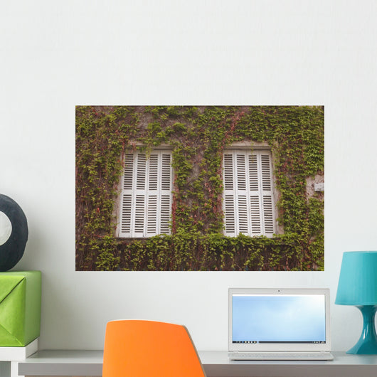 French Shuttered Windows