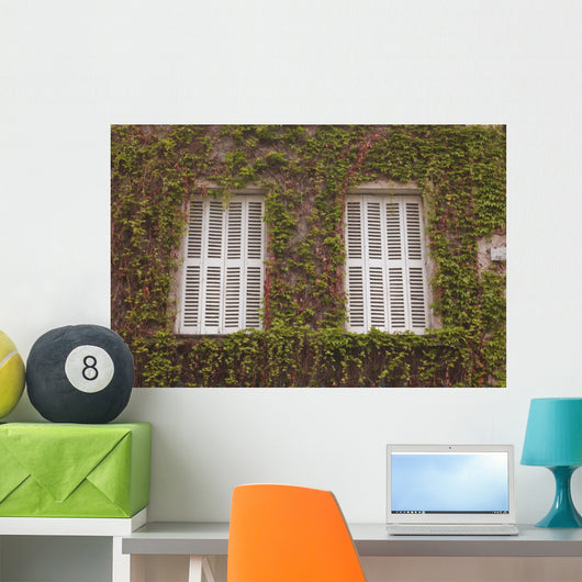 French Shuttered Windows