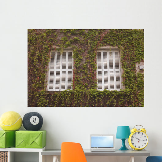 French Shuttered Windows