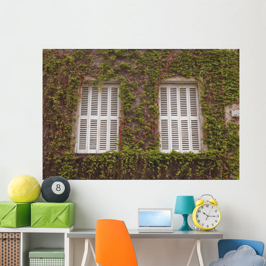 French Shuttered Windows