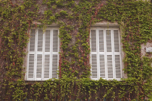 French Shuttered Windows
