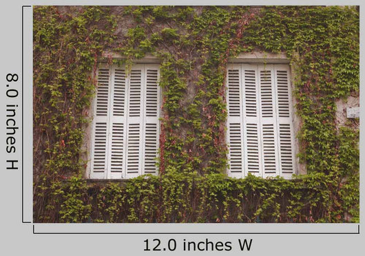 French Shuttered Windows