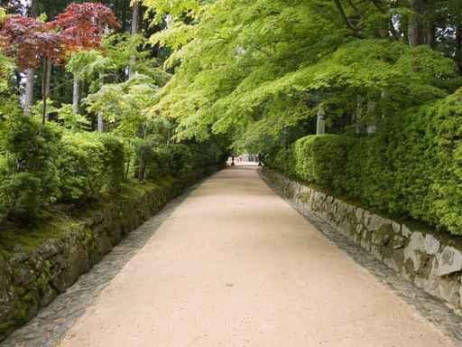 Temple Pathway Wall Decal