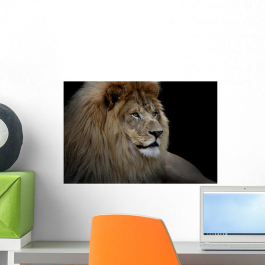Lion Black