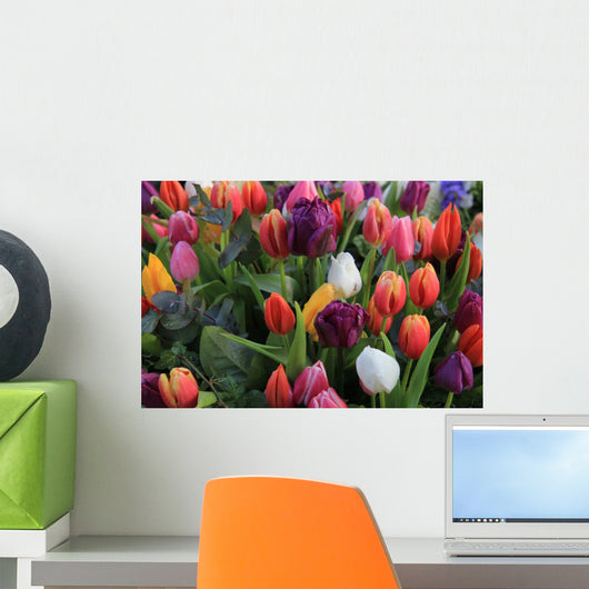 Mixed Spring Tulips Bouquet