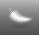 Feather Falling Light Small