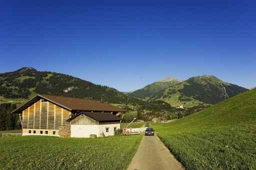 R Beldorfstrasse Wall Decal
