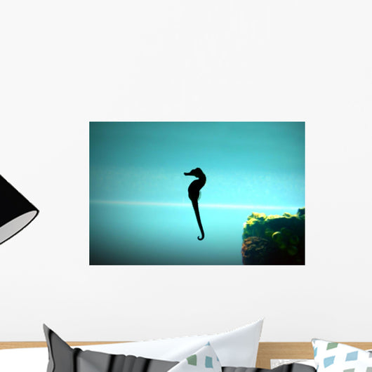 Seahorse