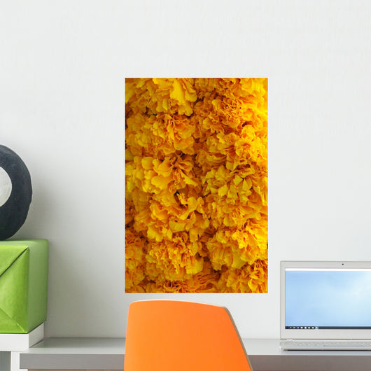 Marigold