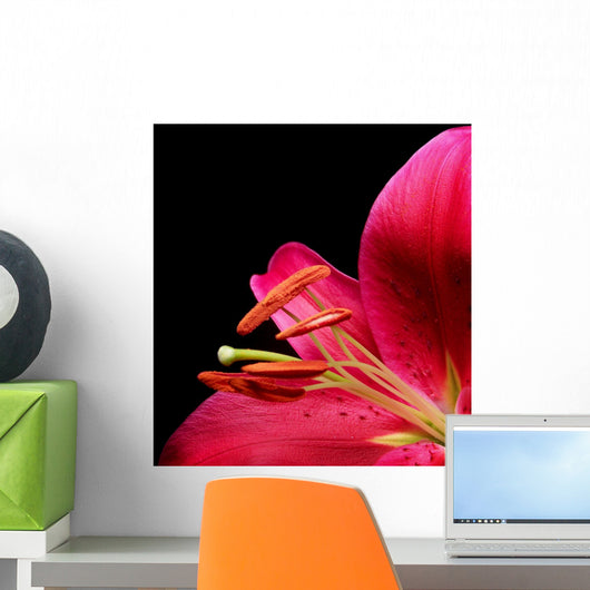 Stargazer Lily Wall Mural