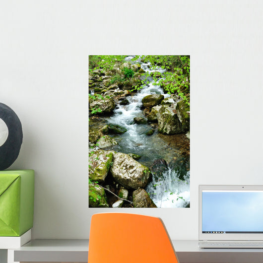 Forest Spring