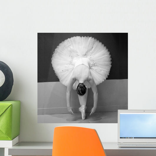 Ballet Dancer Wall Mural