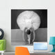 Ballet Dancer Wall Mural