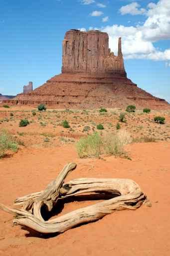 Monument Valley - Vertical Wall Decal