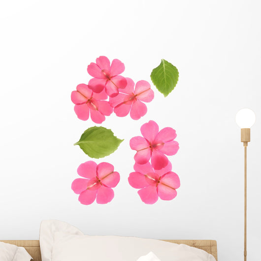 Pink Flowers and Leaves