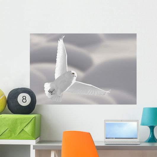 Snowy Owl Flight