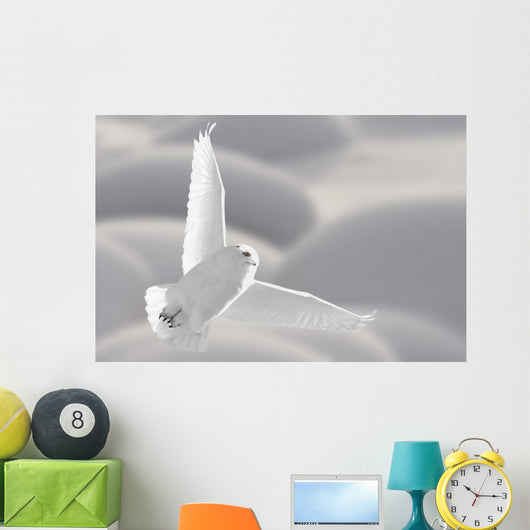 Snowy Owl Flight
