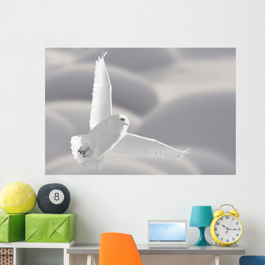 Snowy Owl Flight