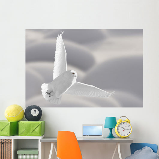 Snowy Owl Flight