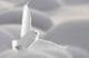 Snowy Owl Flight