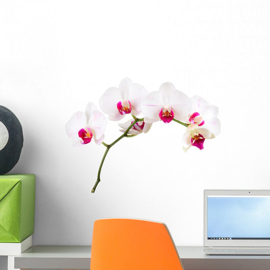 Orchid Wall Decal