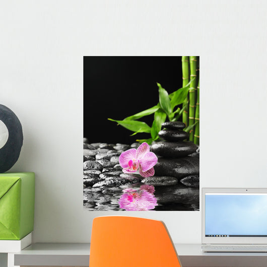 Orchid